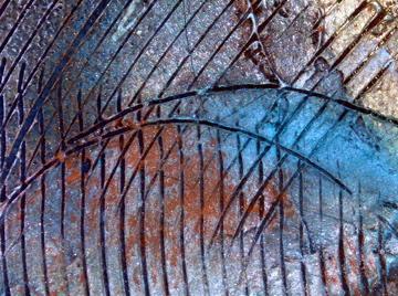 graffi di... passione...