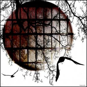 Arte in movimento Arte in movimento