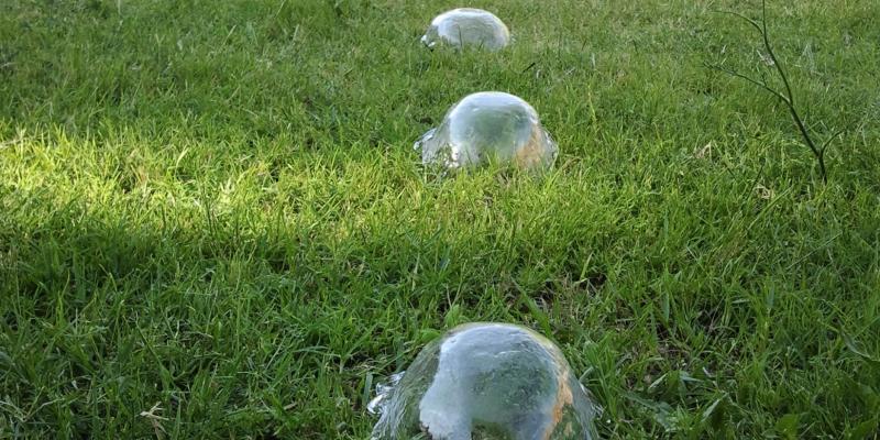 Premio Basi Premio Basi