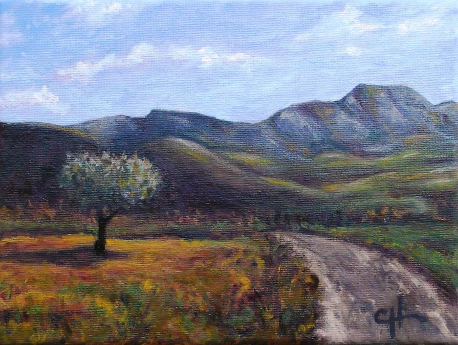 Giovanni Gargano - Valle Corvo