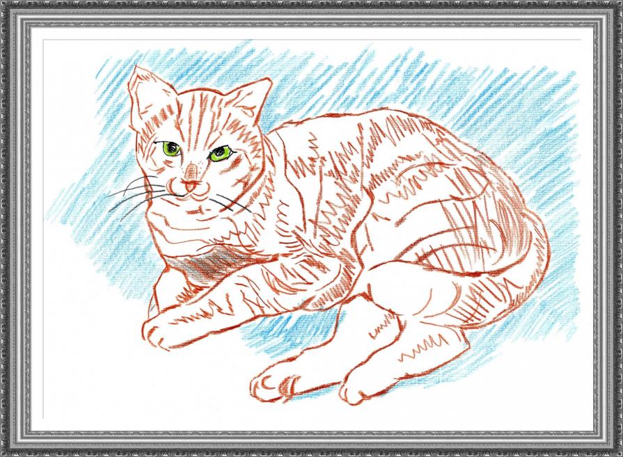...STUDIO SUL RITRATTO DI UN GATTO...!!!