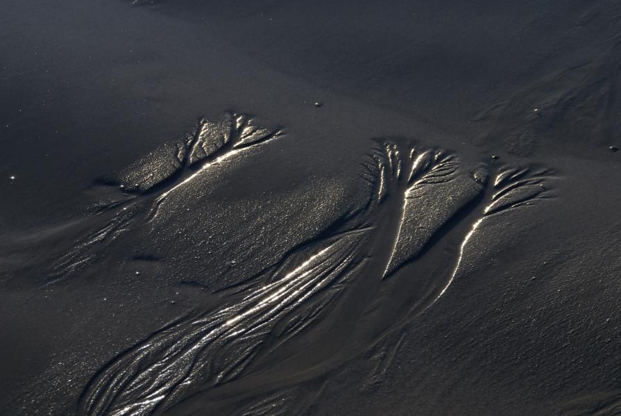 Sea prints in the sand