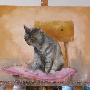 The cat is on the chair