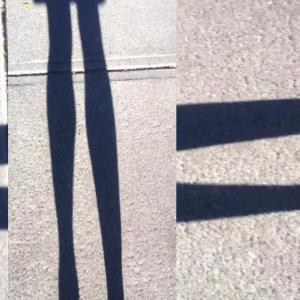 Walking the Satellites Walking the Satellites