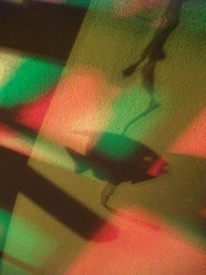 I COLORI DELLA BIODIVERSITÀ