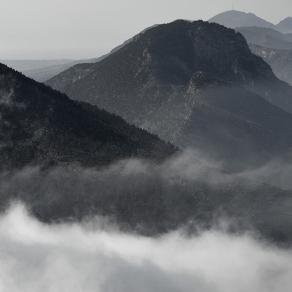 MORE THAN EVER Buffavento 45