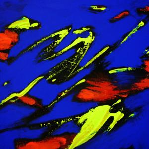 IDEE VAGANTI 2014. foto, stampa gycleé cm 60x80