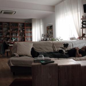 Le storie del divano Le storie del divano