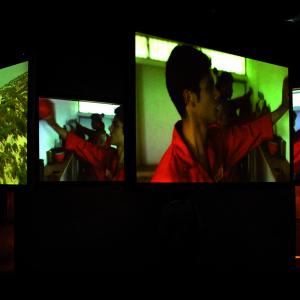 The Connivance of Watching Birds