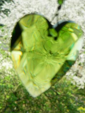 See through the heart