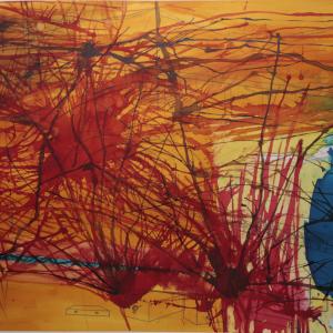 Cartografías del caos