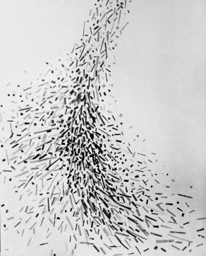 Starlings / cabin art 