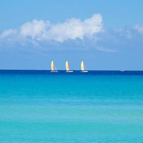 Natural Colors (Varaderõ)