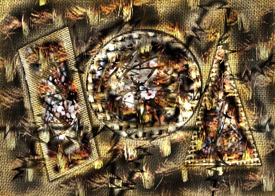 primavera anticipata.in viale piave.