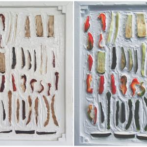 verdure varie verdure varie