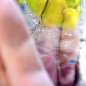 Pelle, colore di un pensiero