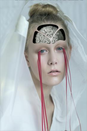 Second Life series (Red tears)