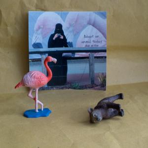 Habitat_project_backstage 18