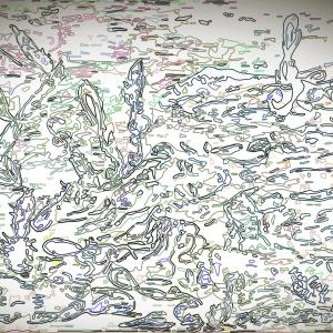 the sahara in lines - the plants Kakteen is our tobic for Pains and sadness