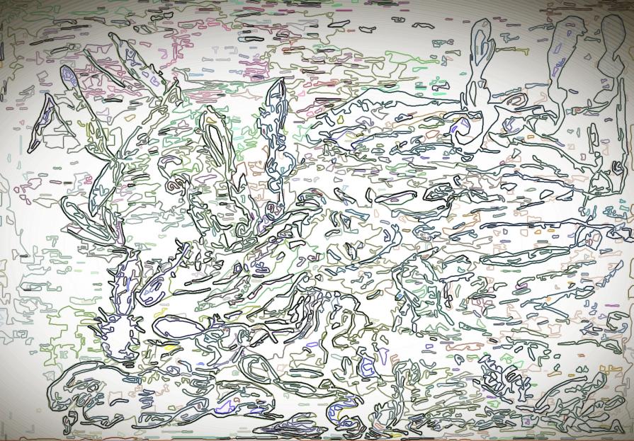 the sahara in lines - the plants Kakteen is our tobic for Pains and sadness