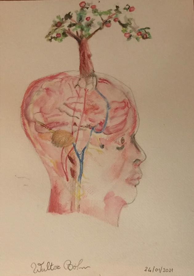 L'albero di Melo dell'Eden