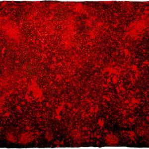 Il sorriso di Roberta per l’UNICEF – Progetto "Scuola e protezione per i bambini di strada" in Bangladesh”