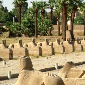 Egitto. Luxor e Marsa Alam