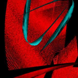 Where Do I belong ? The Bella Vista gallery Chicago USA