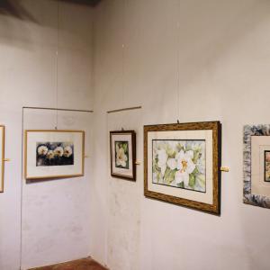 TRA ACQUA E FUOCO al Palazzo Ducale di Revere