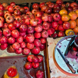 Turchia. Istanbul. Caos e collasso 2/2