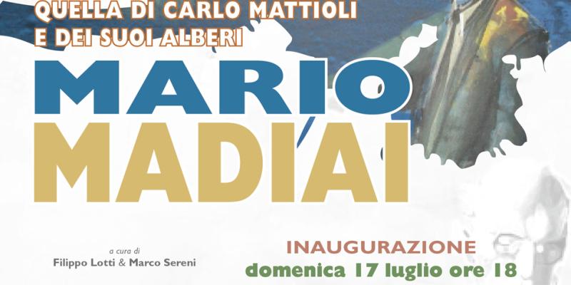 “Vi racconto una storia, quella di Carlo Mattioli e dei suoi alberi” “Vi racconto una storia, quella di Carlo Mattioli e dei suoi alberi”