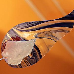 Natura:Luci e Ombre a Modena.