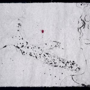 Omar Galliani. Reflections on the lake Omar Galliani. Reflections on the lake