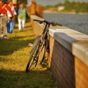 Dependtendency, Venice, 4-7 June Dependtendency, Venice, 4-7 June