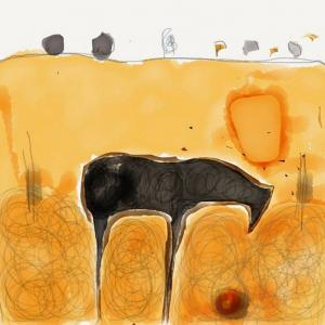 Soqquadro partecipa a CATS