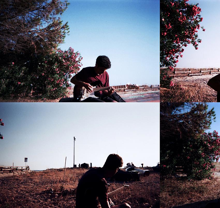 Dai miei diari: Gli oleandri