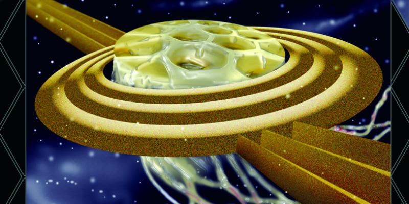 "BIOUNICITA' " di Vito Mazzocchi "BIOUNICITA' " di Vito Mazzocchi