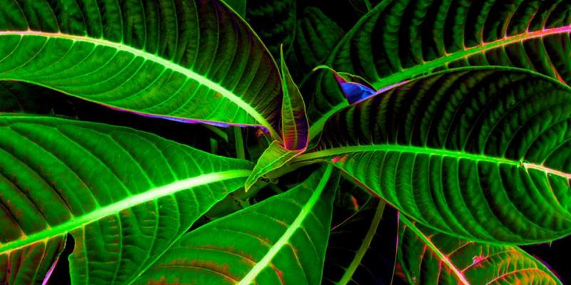 Sensory Winery & Art Gallery's First Annual Open Invitational