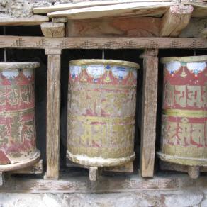 "Sottopelle #07" Ldk05