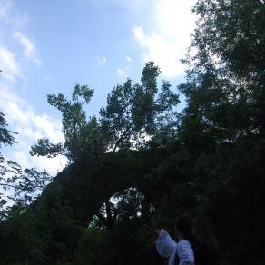 Eternal (Gothic Contest)