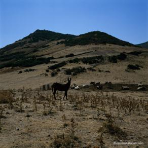 A Piedi Nudi, #L103C6130