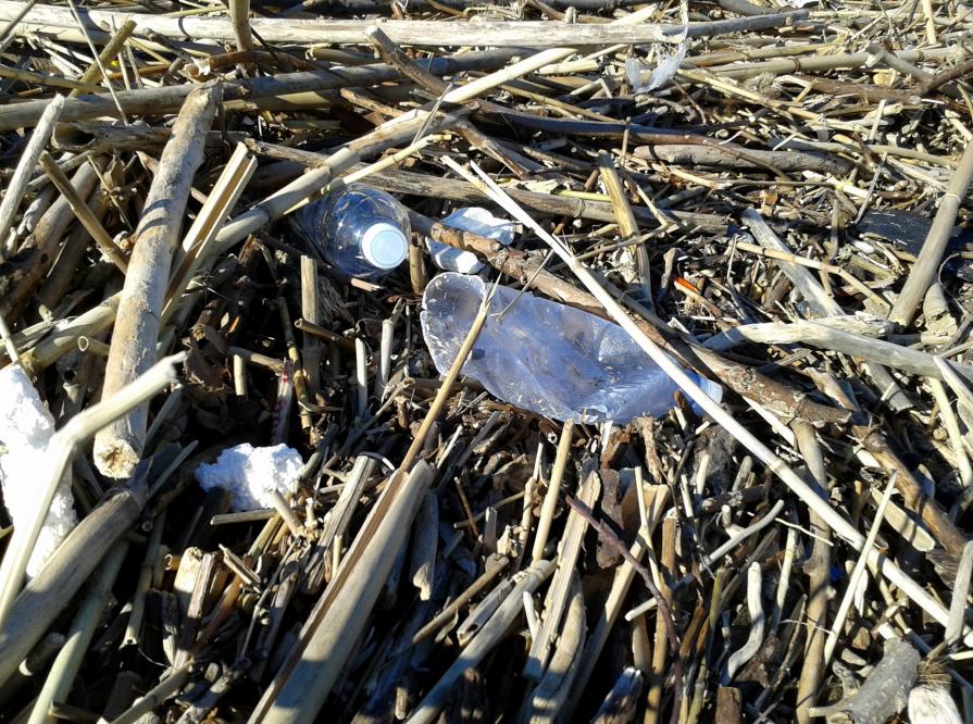 Loneliness of thing #10