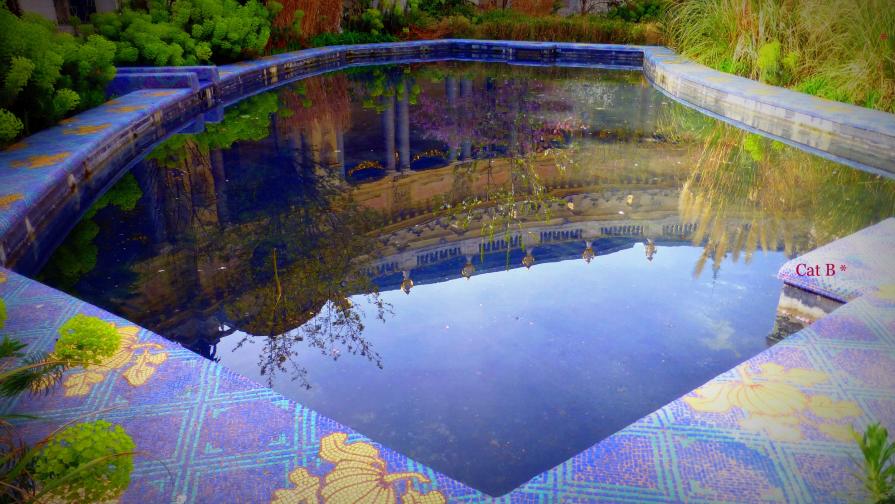 Reflets au Petit Palais...