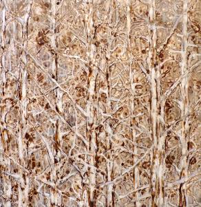 L'ordine della natura