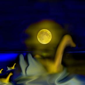 stanotte è la notte giusta per attraversare il mediterraneo,ce calma piatta..tutti in fila dai..