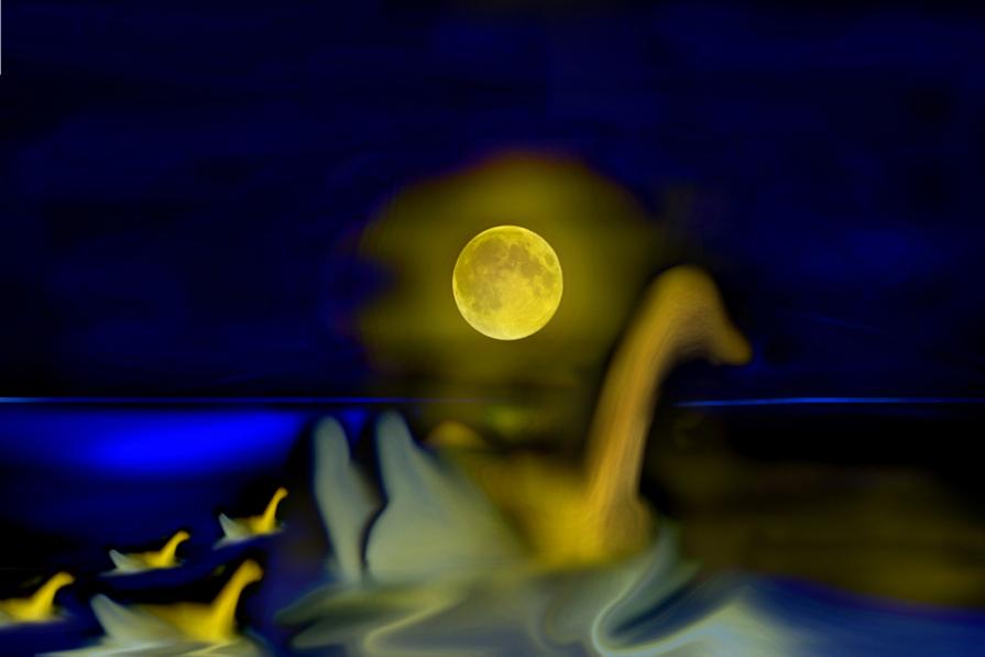 stanotte è la notte giusta per attraversare il mediterraneo,ce calma piatta..tutti in fila dai..