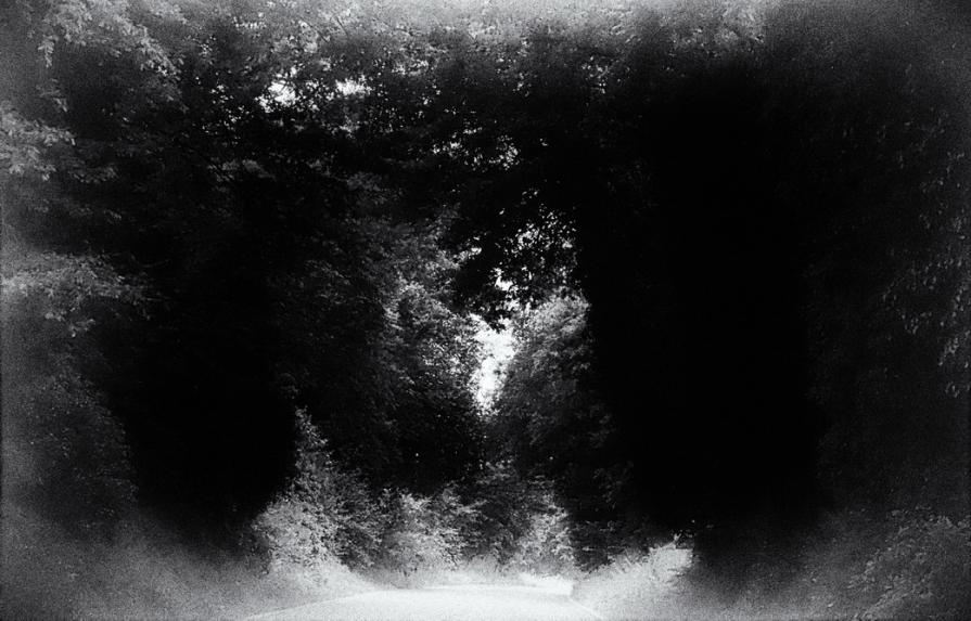 La quarta sosta... il bosco 