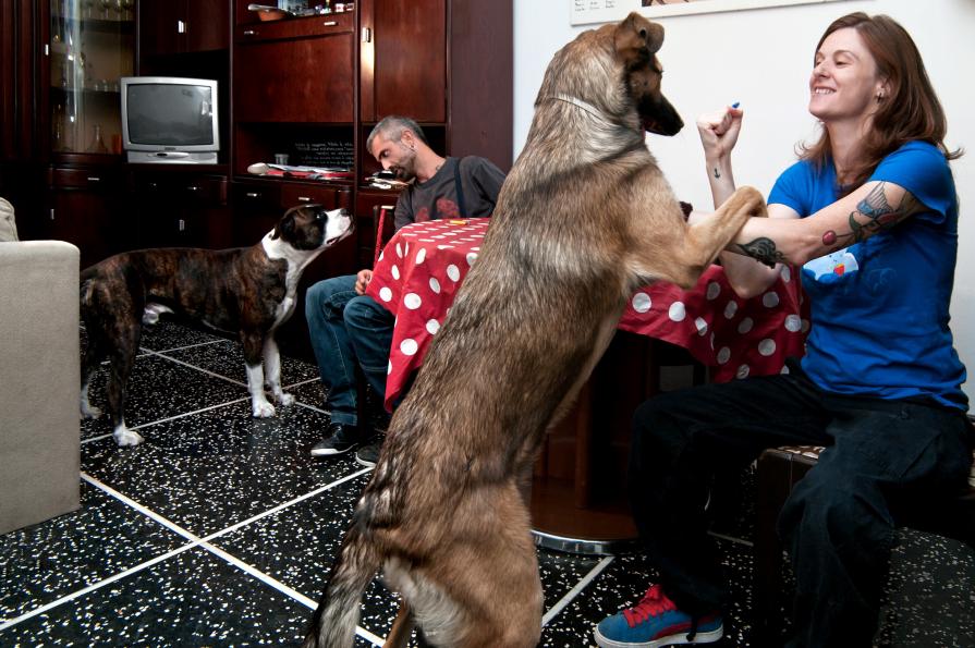 Sara e Gianluca (Lido) coinquilini per due anni insieme a Dory e al molosso Loop