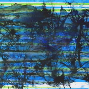 Cartografías del caos