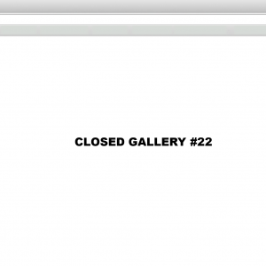 CLOSED GALLERY #22 (Galeria Felicia Hall)